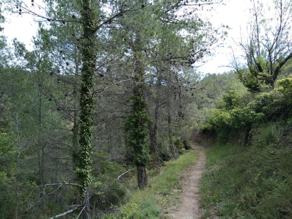 Casa De Amparo Y Jose Manuel ξενώνας Pavies Εξωτερικό φωτογραφία