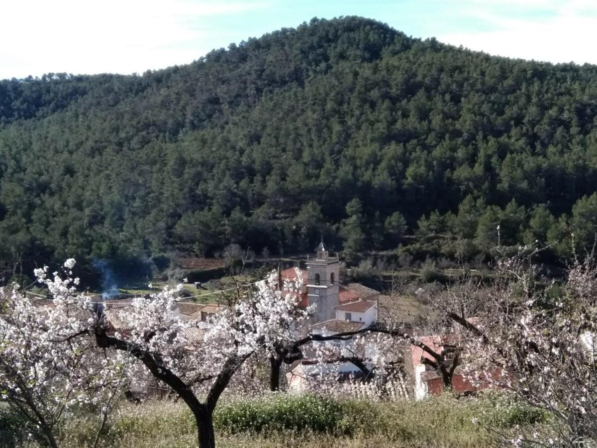 Casa De Amparo Y Jose Manuel ξενώνας Pavies Εξωτερικό φωτογραφία