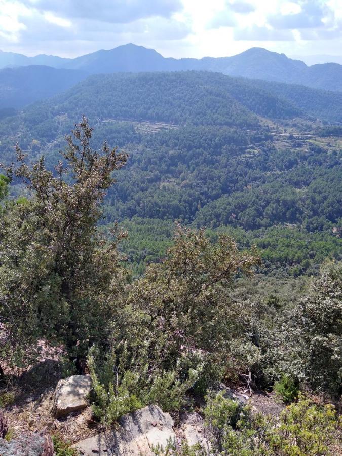 Casa De Amparo Y Jose Manuel ξενώνας Pavies Εξωτερικό φωτογραφία